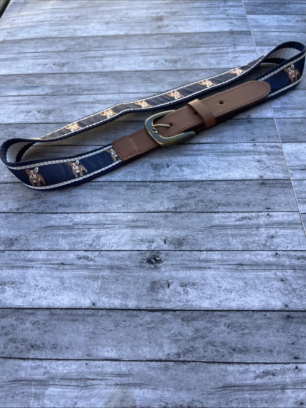 Janie and Jack Navy Blue Dog-Print Belt with Brown Leather Trim